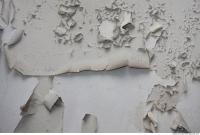 Walls Plaster 0052